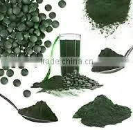 Spirulina Extract photo-2