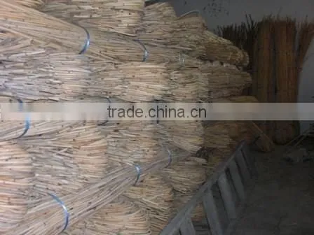 Raw White Pahang All Size Cane photo-2