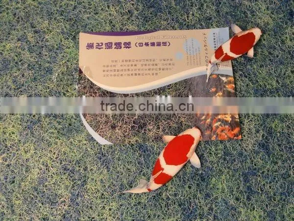 Good Quality Best Ideal Biological Filter Media for Fish Farm and Tank photo-6