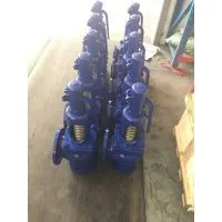 DIN Standard Spring Loaded Pressure Safety Valve photo-3