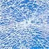 Tempered Glass