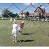 Supply Galvanized Squae Wire Mesh