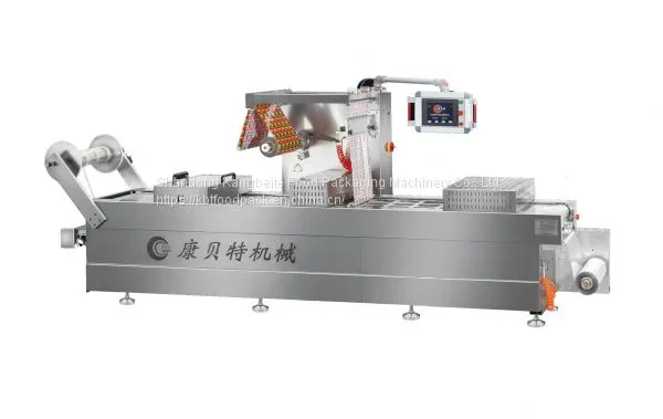Thermoforming Packing Machine DRZ420 Automatic Packaging Machine for Food photo-5