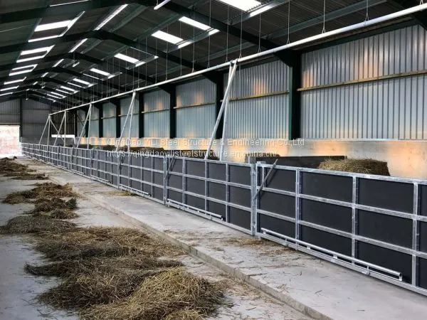Low Cost Pig Farm House Building Construction Professional Design for Pig House photo-3