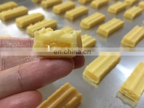 Date Bar Making Equipment SV-208 Fruit Bar Extruder Date Bar Making Machine photo-6