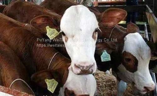 Factory Price 134.2khz RFID Smart Animal Ear Tags photo-4