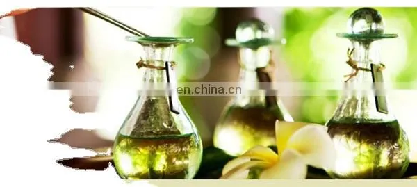 CHINA Genyond Pure Bulk Plant Peppermint Essential Oil and Natural for Industrial Machine photo-3