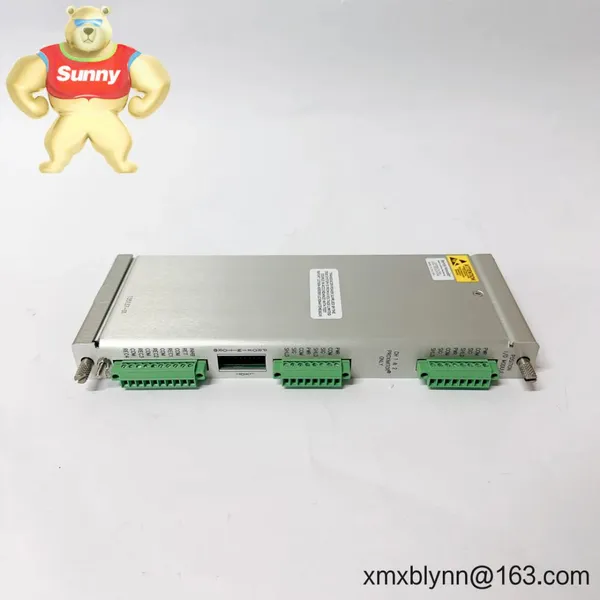 Bently Nevada 135137-01 Positions I/O Module – Reliable Field Termination for Position Transducers in Critical Machinery Monitoring photo-2