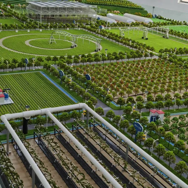 Smart Agriculture Digital Twin, Agricultural Sandbox, Smart Agricultural Sandbox, Customized Agricultural Twin Sandbox photo-2