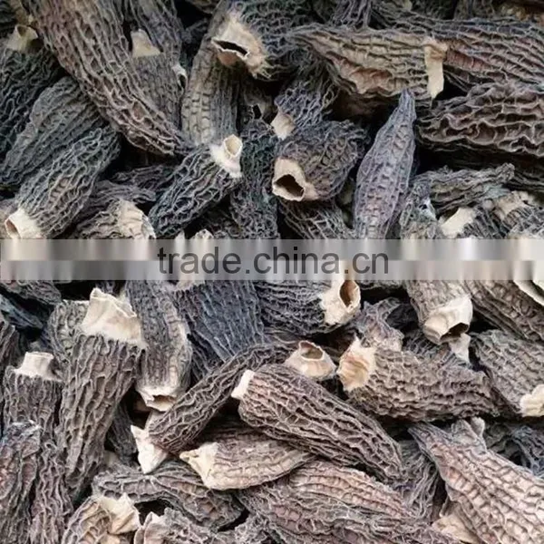 Dried Morel Mushroom