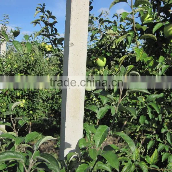 Concrete Lintel Mouds and Lintel Machine photo-5