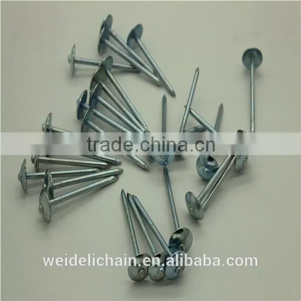 BWG9X3" UMBRELLA ROOFING NAILS photo-6