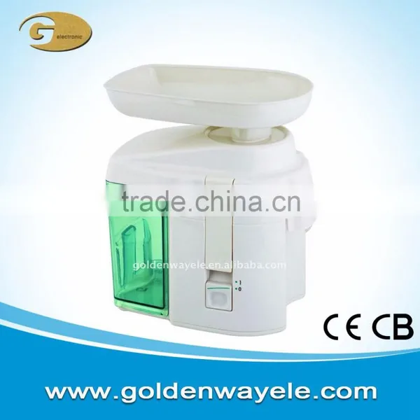 Electrical Juicer