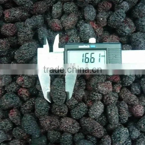 Frozen Style Fresh Chinese Mulberry photo-2