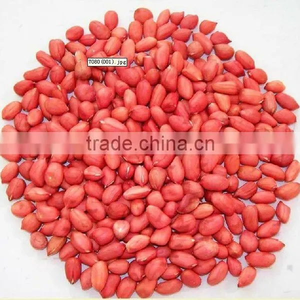 New Crop Chinese Roasted Peanuts In Shell photo-6