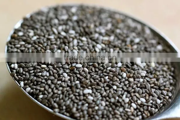 Chia Seeds