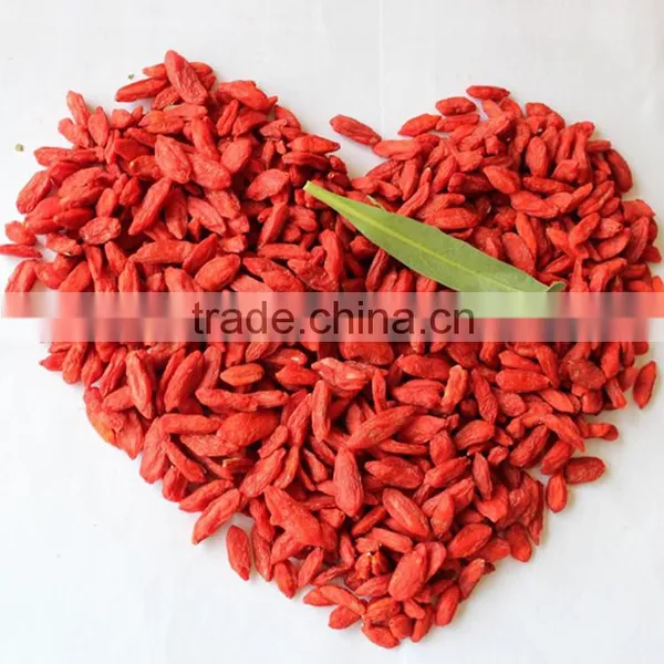 Manufacturer Wholesales Chinese Wolfberry Extract photo-4