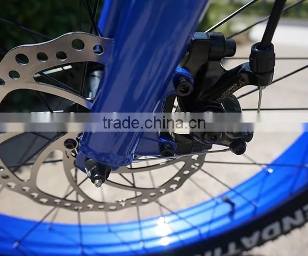 Diy Electric Motorized Bicycle Easy Rider Men e Bike Green City photo-5