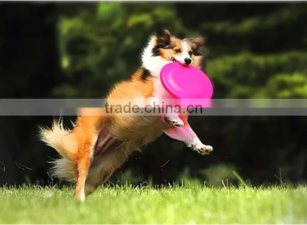 PP Dog Frisbee /Pet Frisbee Flying Disk Dog Toy photo-5