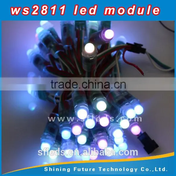 Input DC12V, Waterproof IP68 Ws2811 12v Pixel LED Pixel UCS1903 WS2801 12MM photo-6