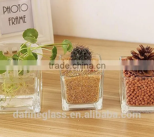 Square Hydroponic Succulent Plants Flowerpot Glass Vase photo-2