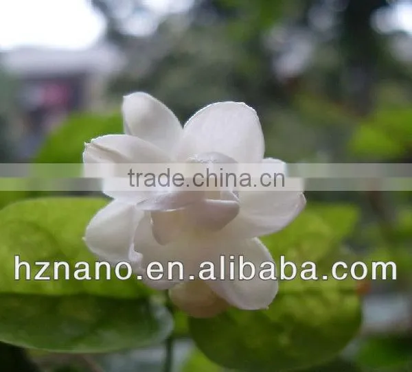 Textile Aromatic Microcapsule Finishing Agent