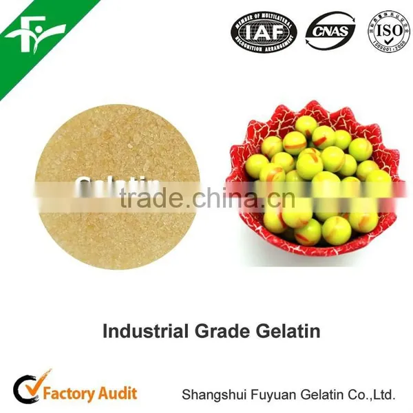 Beef Leather Gelatin/industrial Gelatin/gelatin Powder