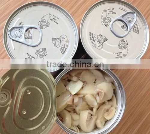 Chinese High Quality Canned Fresh Mushroom Whole photo-6