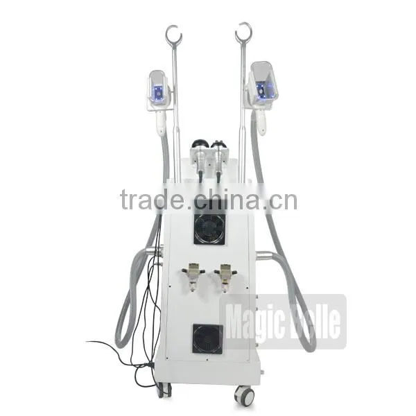 The Factory Price Slimming Beauty Equipment Fat Freezing Slimming Cryolipolysis Laser for Salon Use photo-3