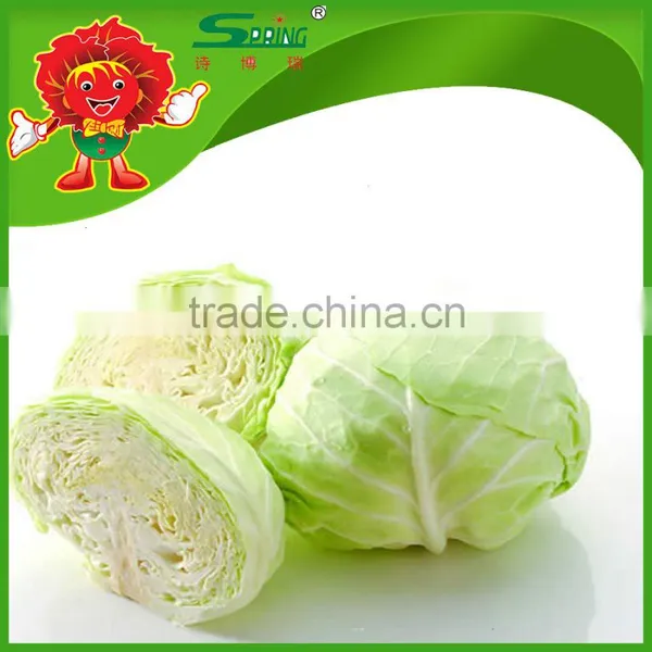 Brands Iceberg Cabbage Green Fresh Cabbage photo-2