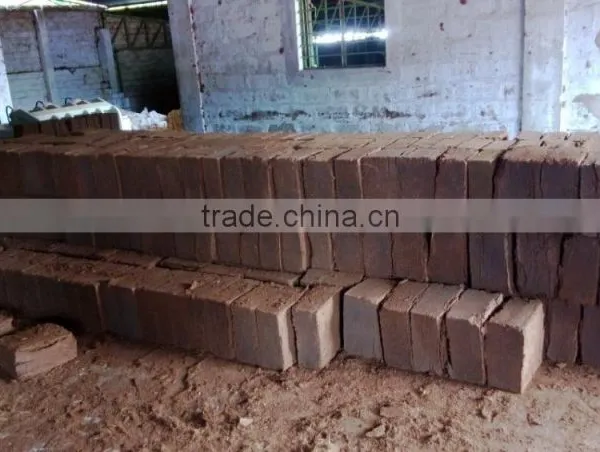 Best Quality Cocopeat 5kg for Sales photo-3