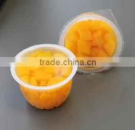 2016 new season delicious fruit cup