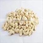VIETNAM CASHEW NUT NEW CROP 2015 photo-2