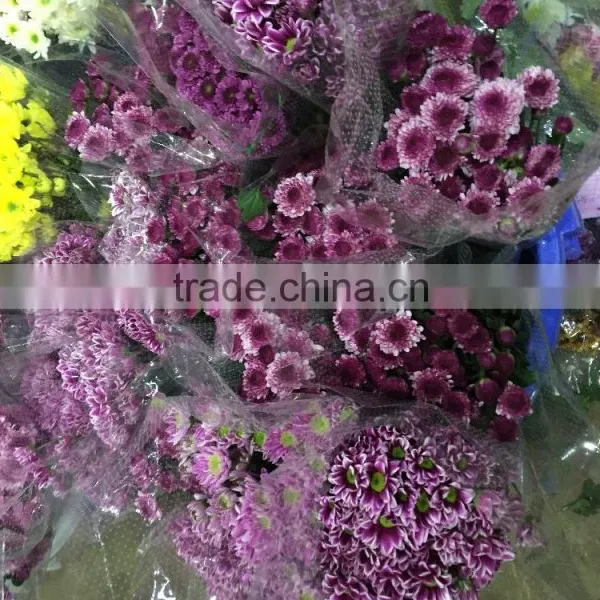Fresh Cut Chrysanthemums Flower photo-3