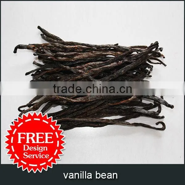 Vanilla Bean