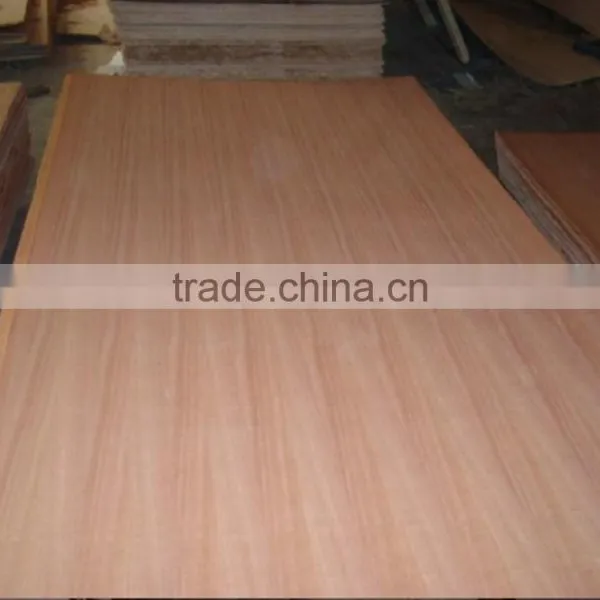 High Quality Beech Plywood Sheet for Furniture photo-5