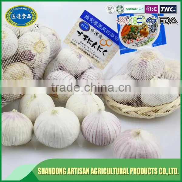 Fresh Solo Garlic photo-2