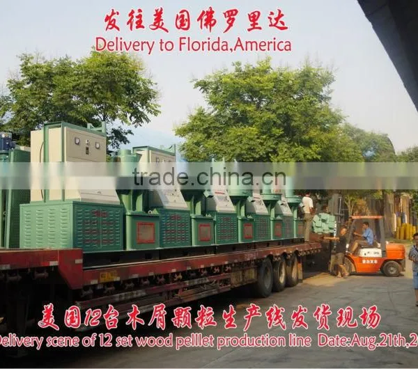 Flat Die Machine to Make Straw Briquettes photo-6