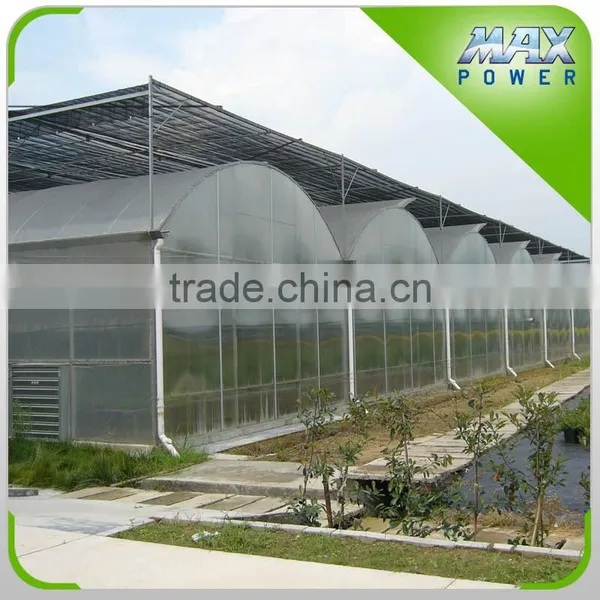 Multi-span Polycarbonate Hollow Sheet Greenhouse photo-3