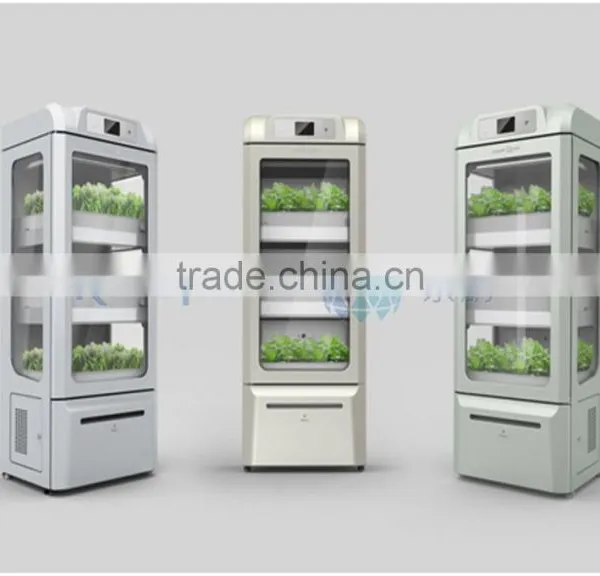 Modern Family Vegetable Growing photo-2
