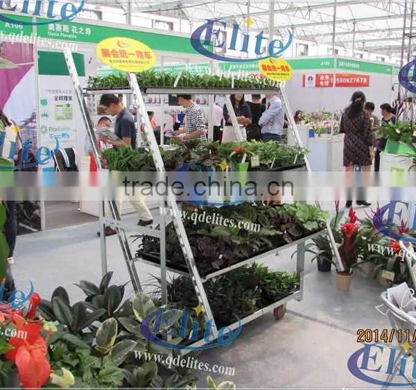 141 Steel for Display Flower Trolley,Steel for Pot Plant Trolley ,Steel for The CC Euro Trolley photo-3
