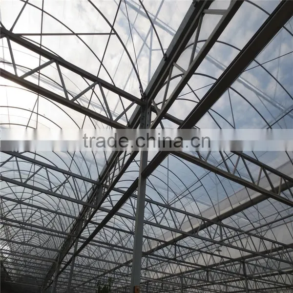 Polycarbonate Sheet Greenhouse photo-5