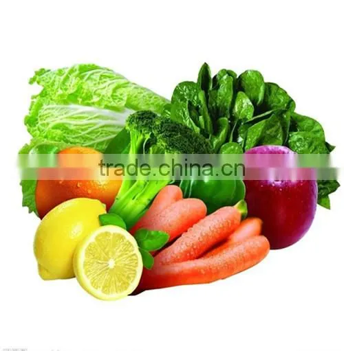 Chinese Electric-manual Multi-functional Vegetable Cutter photo-3