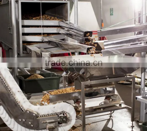 Walnut Kernel Multiple Layer Stainless Steel Conveyor Dryer photo-2