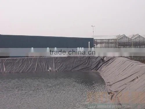Waterproof Membrane PE Construction Film photo-4