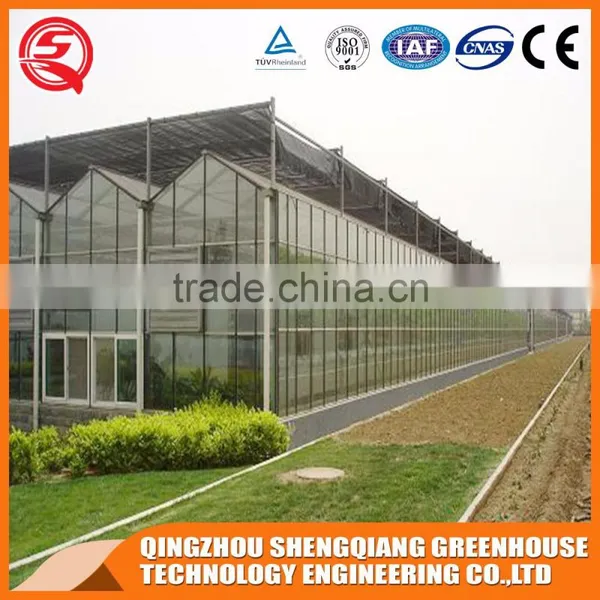 Agriculture Glass Greenhouse With Hot Dip Galvanized Frame for Sale photo-4