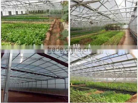 Prefabricated Durable Steel Structure Used Greenhouse