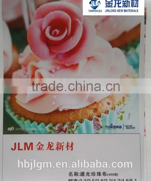 510gsm Pvc Flex Banner Sizes, PVC Coated Flex Banner Used in Large Format Printing photo-3
