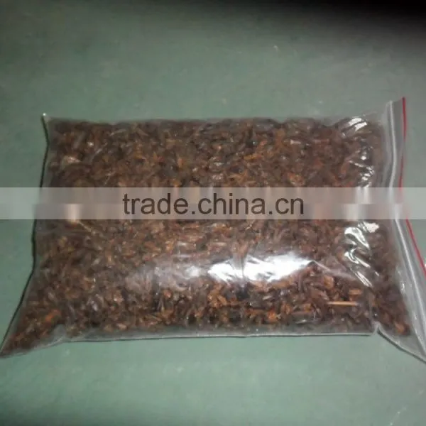 Freeze Dried Crickets, Bird & Reptiles Pet Food photo-6