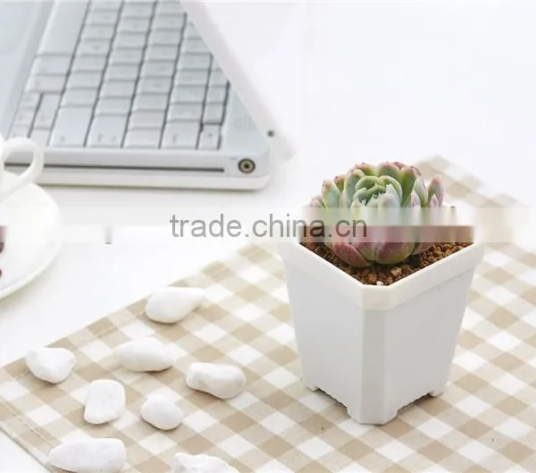 More Thickness Plastic Starting Seeding Flower Pot photo-3